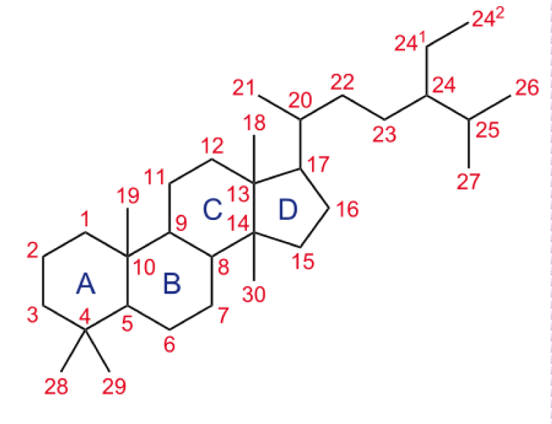 article icon