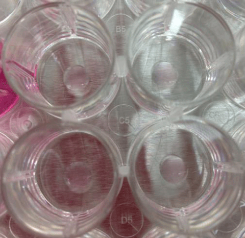 article icon
