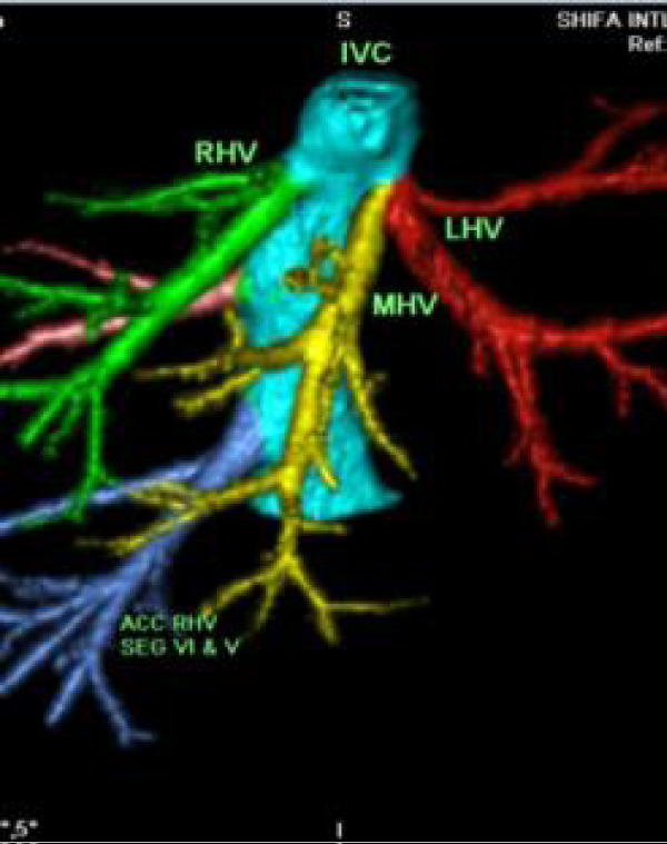 article icon