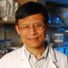 Wei Xiao 