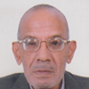 Mohamed Amin Kenawy 