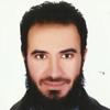 Mohamed Bekheit Ibrahim Bekheit 