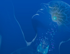 Annals of Clinical Endocrinology and Metabolism