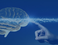 Archives of Psychiatry and Mental Health