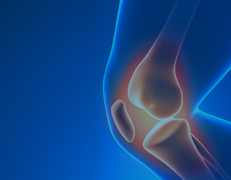 Archives of Clinical and Experimental Orthopaedics