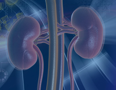 Journal of Clinical Nephrology