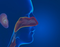 Advanced Treatments in ENT Disorders